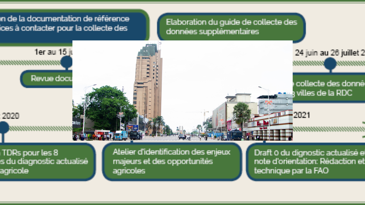 CADRE CONCEPTUEL D ANALYSE